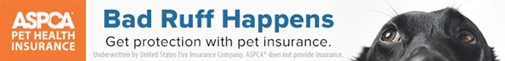 Bad Ruff Happens - Get Protection with pet insurance.