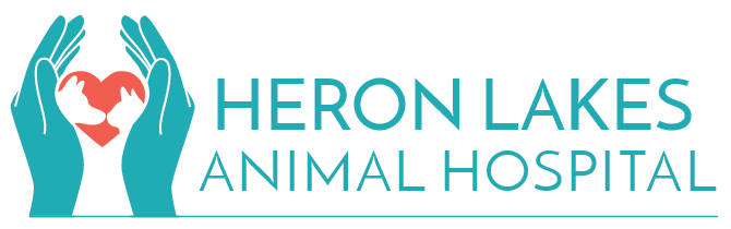 Heron Lakes Animal Hospital logo