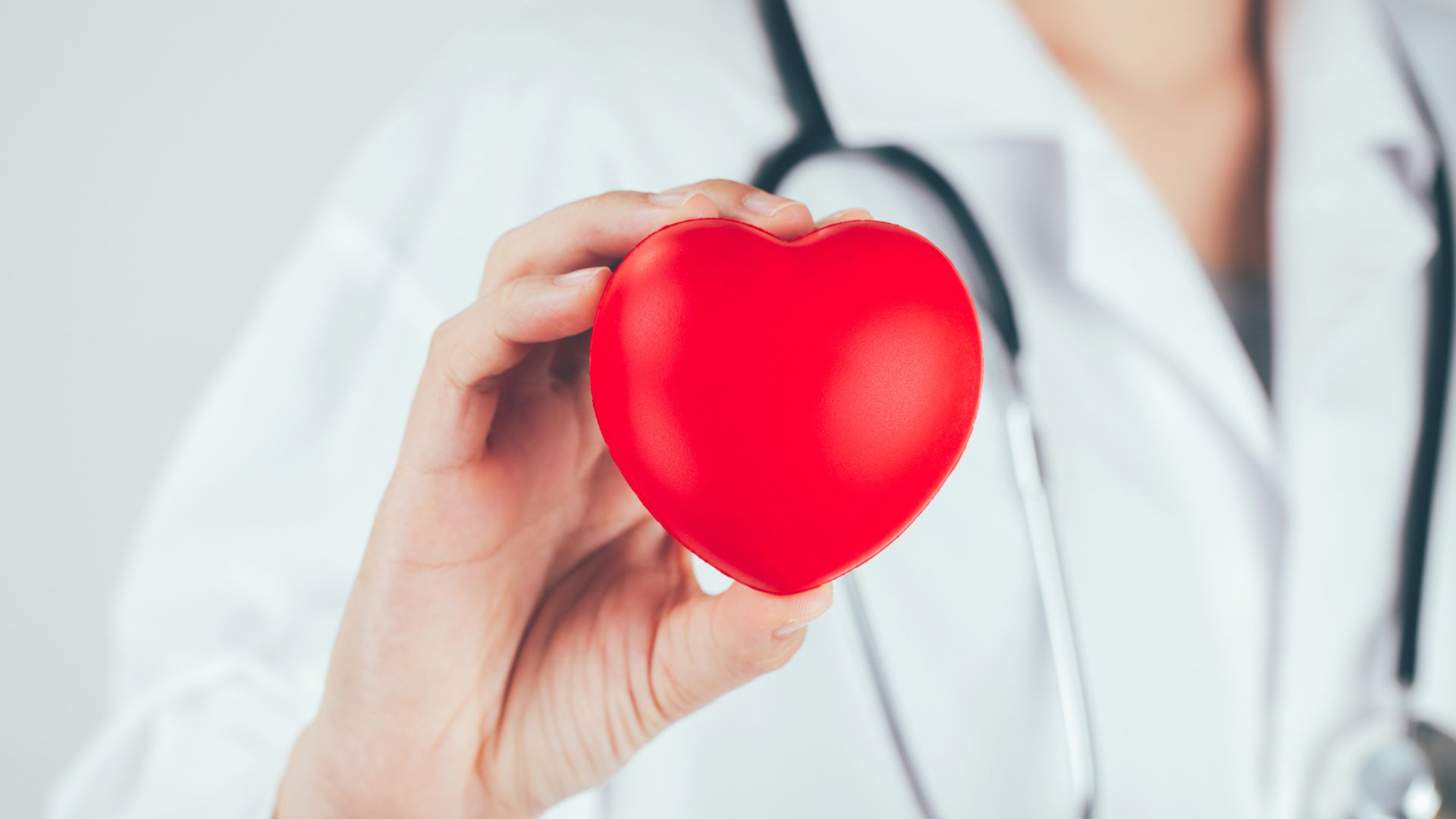 A vet holding a red heart-shaped object