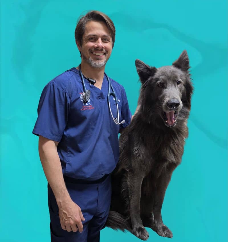 Dr. Abel M. Lera